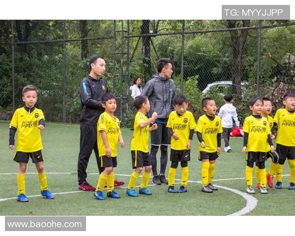 推动足球改革新思路探索中国足球未来发展之路